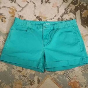 Sweet watermelon green anne loft summer shorts